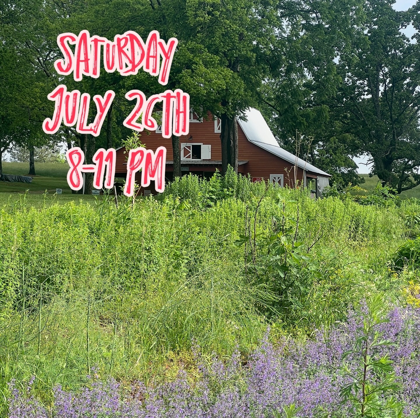 Apothecary Sessions 002 - JULY 26 8-11PM