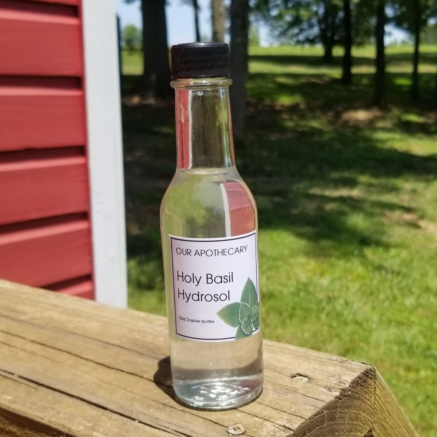 Holy Basil - Hydrosol 5oz