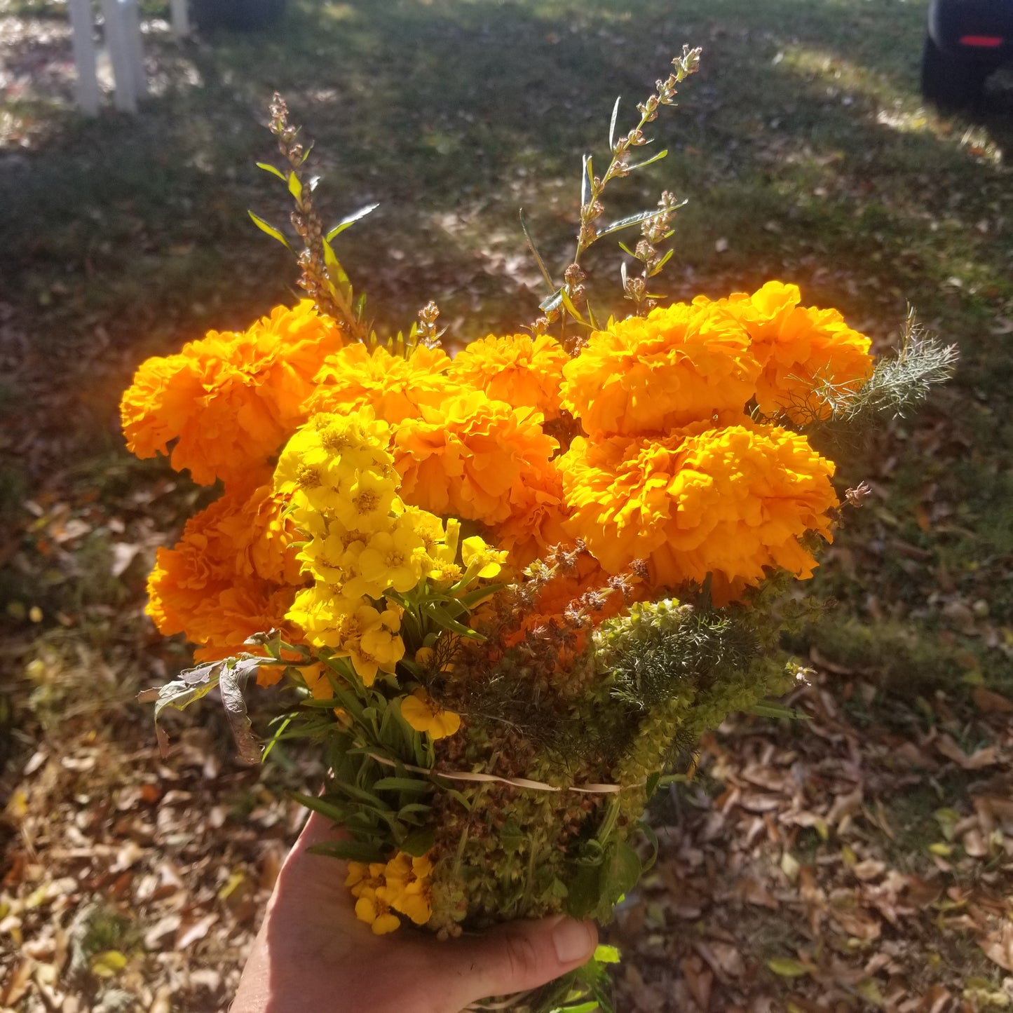 Herbal Bouquet - 1ct