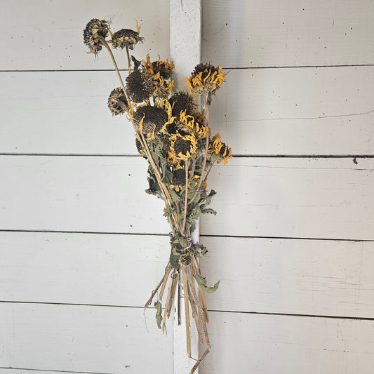 Sunflower-  Dried Flower Bouquet - 15pcs