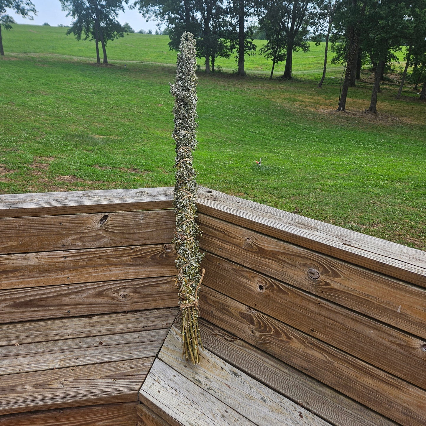 GIANT Mugwort - 4ft Smudge Stick