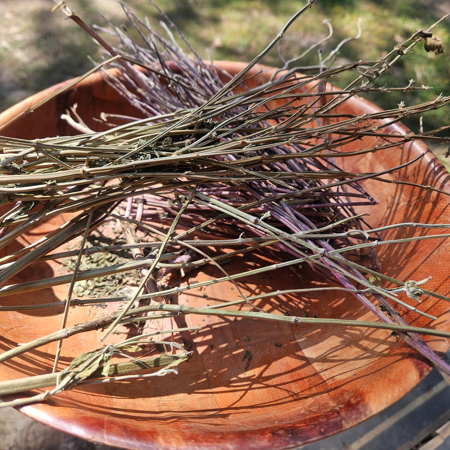 TRUE AROMATICS - Botanical Stems - "Hay" - 40qt