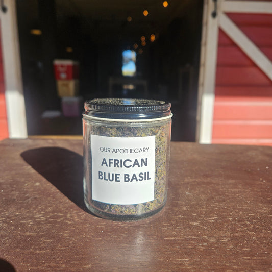 African Blue Basil - Dried 8oz Jar