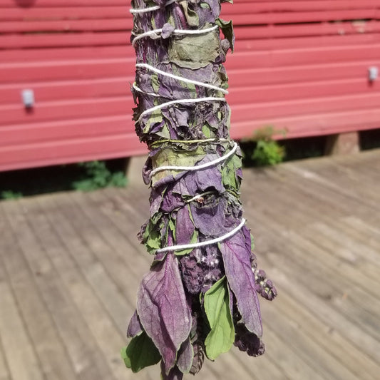 African Blue Basil - Aromatic Smoke Bundle